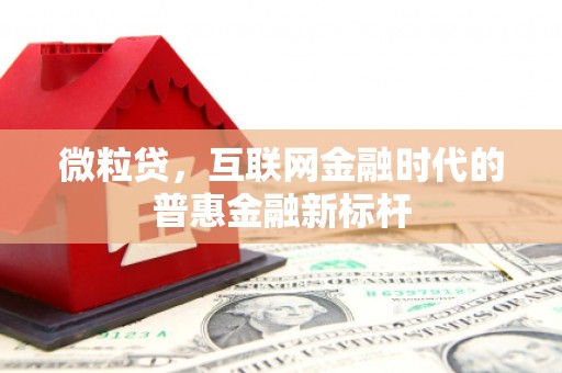 驻马店微粒贷，互联网金融时代的普惠金融新标杆