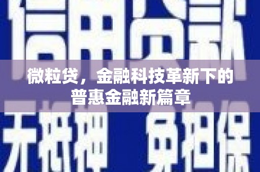 驻马店微粒贷，金融科技革新下的普惠金融新篇章