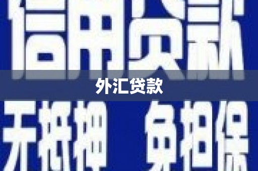 驻马店外汇贷款