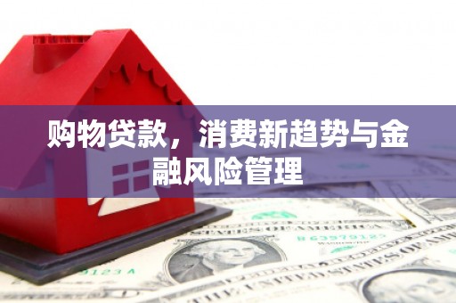 驻马店购物贷款，消费新趋势与金融风险管理