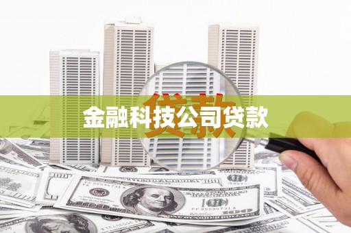 驻马店金融科技公司贷款