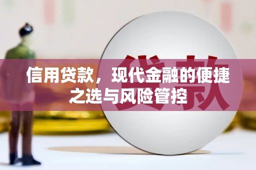 驻马店信用贷款，现代金融的便捷之选与风险管控