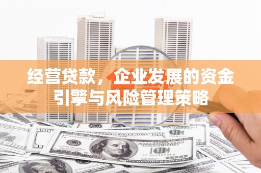 驻马店经营贷款，企业发展的资金引擎与风险管理策略