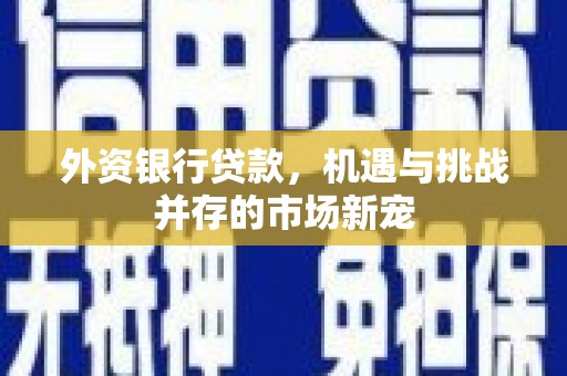 驻马店外资银行贷款，机遇与挑战并存的市场新宠