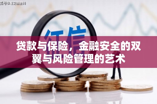 驻马店贷款与保险，金融安全的双翼与风险管理的艺术
