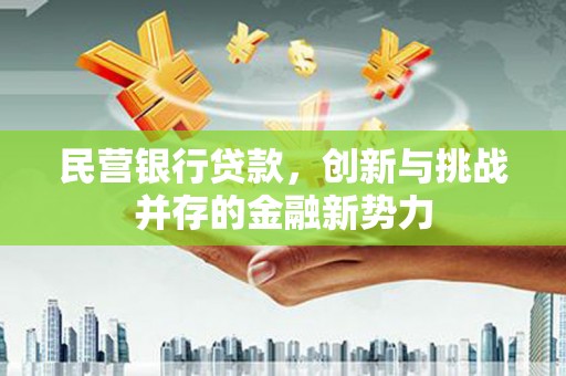 驻马店民营银行贷款，创新与挑战并存的金融新势力