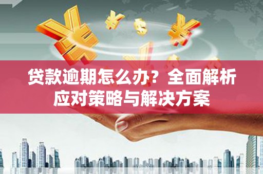 驻马店贷款逾期怎么办？全面解析应对策略与解决方案