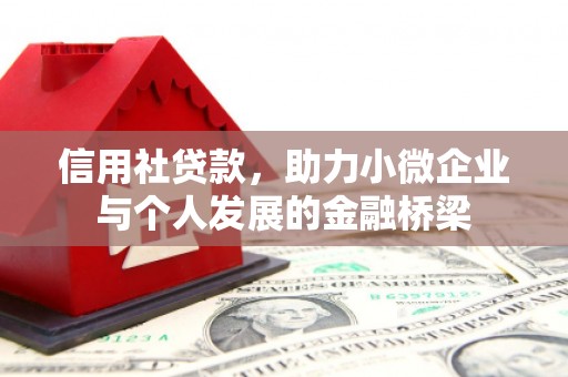 驻马店信用社贷款，助力小微企业与个人发展的金融桥梁