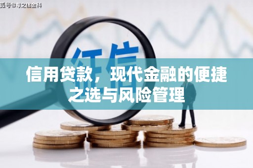 驻马店信用贷款，现代金融的便捷之选与风险管理