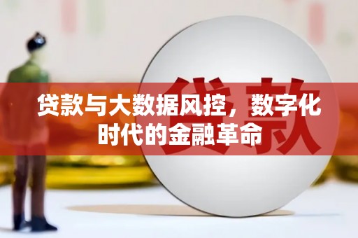 驻马店贷款与大数据风控，数字化时代的金融革命