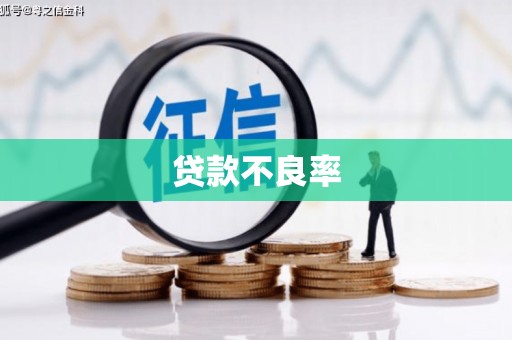 驻马店贷款不良率