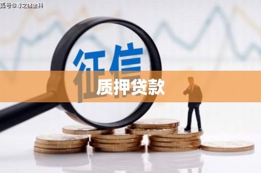驻马店质押贷款