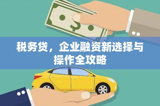 驻马店税务贷，企业融资新选择与操作全攻略