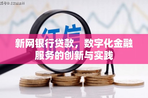驻马店新网银行贷款，数字化金融服务的创新与实践