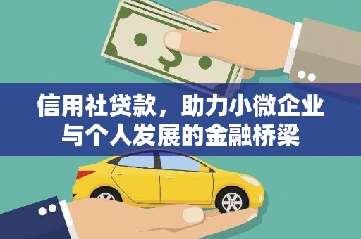 驻马店信用社贷款，助力小微企业与个人发展的金融桥梁
