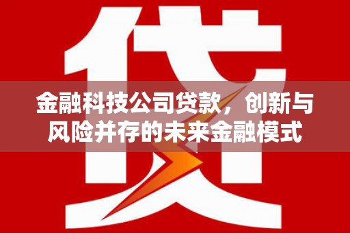 驻马店金融科技公司贷款，创新与风险并存的未来金融模式