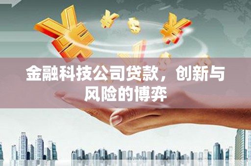 驻马店金融科技公司贷款，创新与风险的博弈