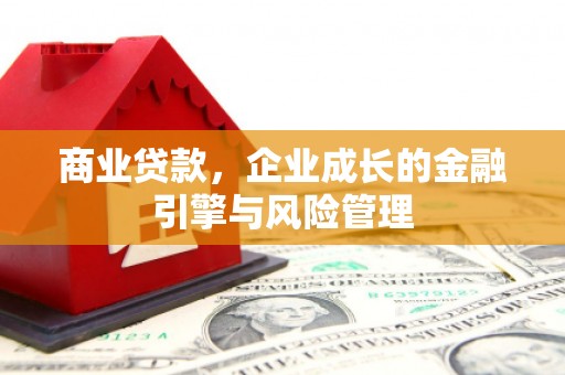 驻马店商业贷款，企业成长的金融引擎与风险管理
