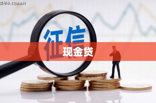 驻马店现金贷