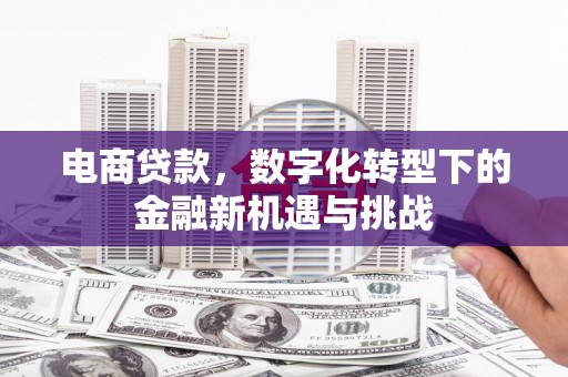 驻马店电商贷款，数字化转型下的金融新机遇与挑战
