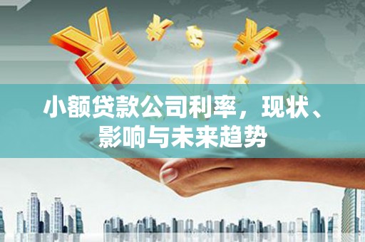 驻马店小额贷款公司利率，现状、影响与未来趋势