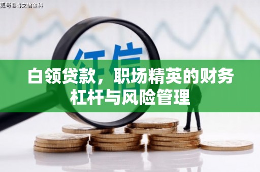 驻马店白领贷款，职场精英的财务杠杆与风险管理