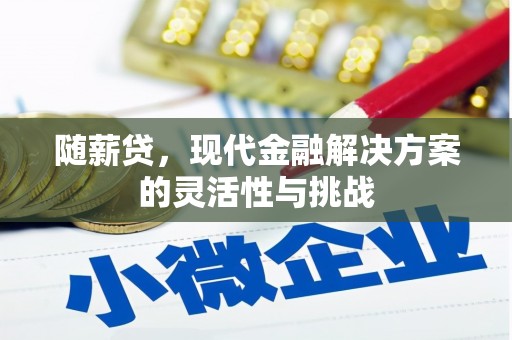 驻马店随薪贷，现代金融解决方案的灵活性与挑战