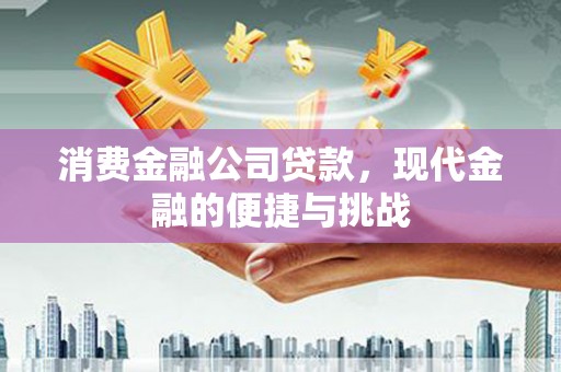 驻马店消费金融公司贷款，现代金融的便捷与挑战