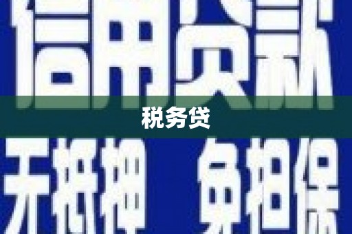 驻马店税务贷