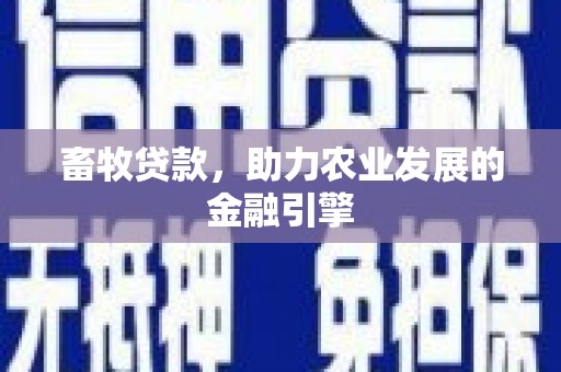 驻马店畜牧贷款，助力农业发展的金融引擎