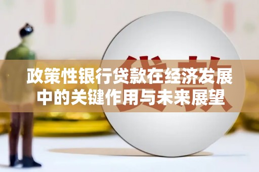 驻马店政策性银行贷款在经济发展中的关键作用与未来展望
