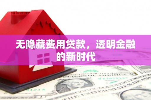 驻马店无隐藏费用贷款，透明金融的新时代