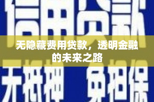 驻马店无隐藏费用贷款，透明金融的未来之路