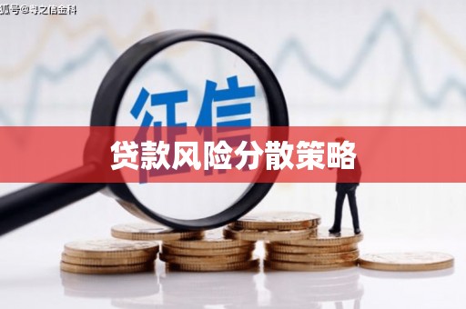驻马店贷款风险分散策略