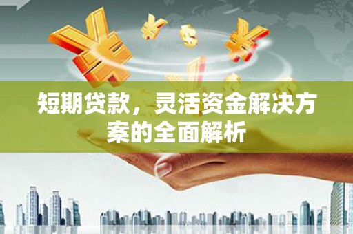 驻马店短期贷款，灵活资金解决方案的全面解析