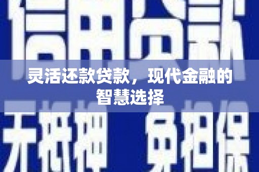 驻马店灵活还款贷款，现代金融的智慧选择