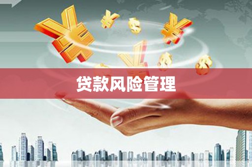 驻马店贷款风险管理