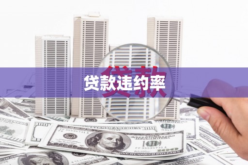 驻马店贷款违约率