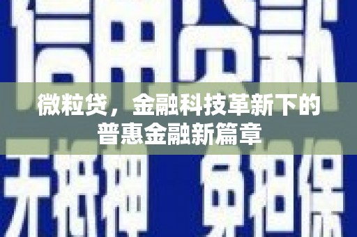 驻马店微粒贷，金融科技革新下的普惠金融新篇章