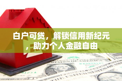 驻马店白户可贷，解锁信用新纪元，助力个人金融自由