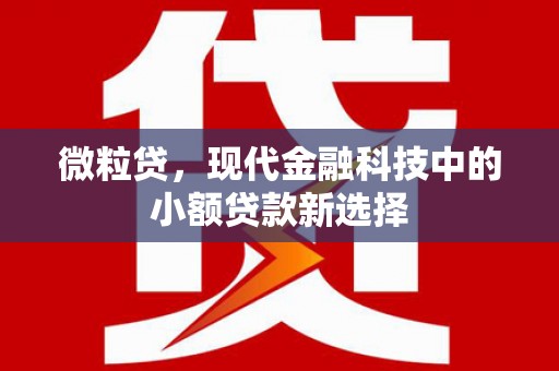 驻马店微粒贷，现代金融科技中的小额贷款新选择