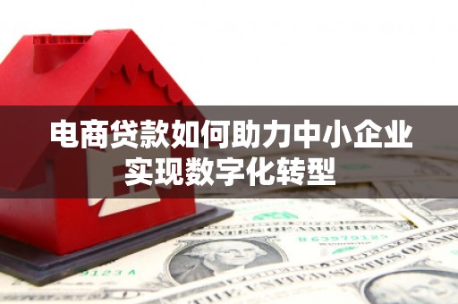 驻马店电商贷款如何助力中小企业实现数字化转型