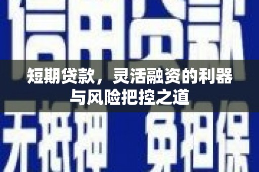 驻马店短期贷款，灵活融资的利器与风险把控之道