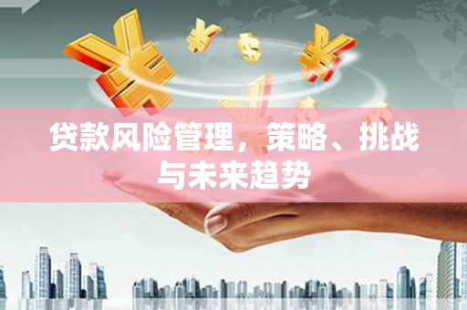驻马店贷款风险管理，策略、挑战与未来趋势