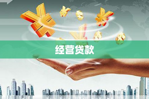 驻马店经营贷款