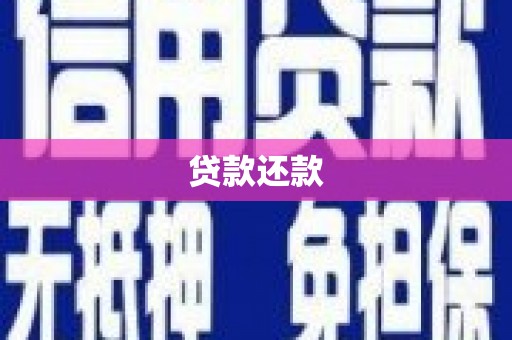 驻马店贷款还款