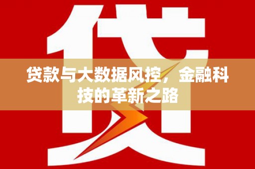驻马店贷款与大数据风控，金融科技的革新之路