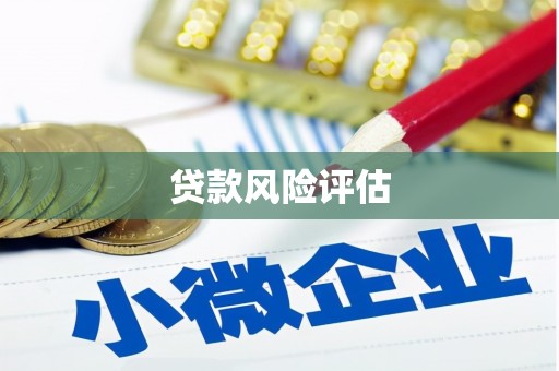 驻马店贷款风险评估