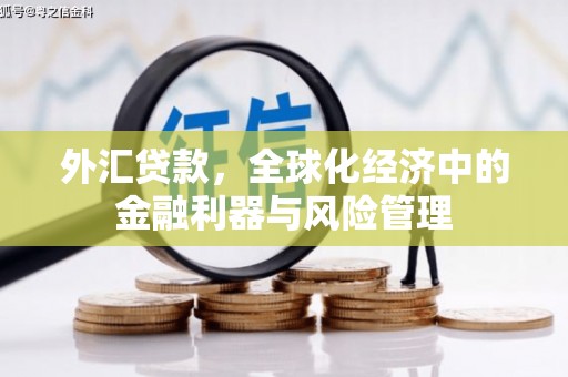 驻马店外汇贷款，全球化经济中的金融利器与风险管理