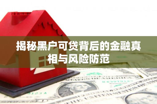 驻马店揭秘黑户可贷背后的金融真相与风险防范